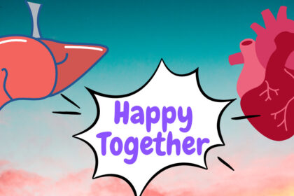 LIVER & HEART