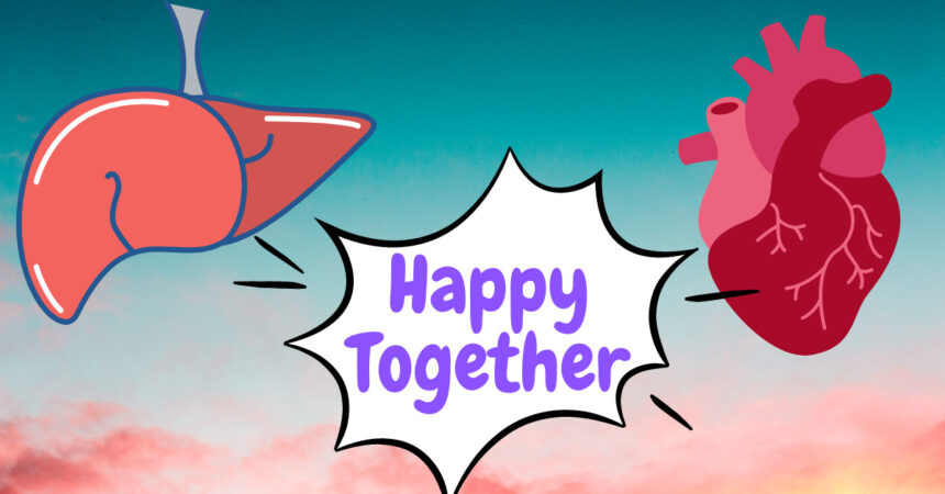LIVER & HEART