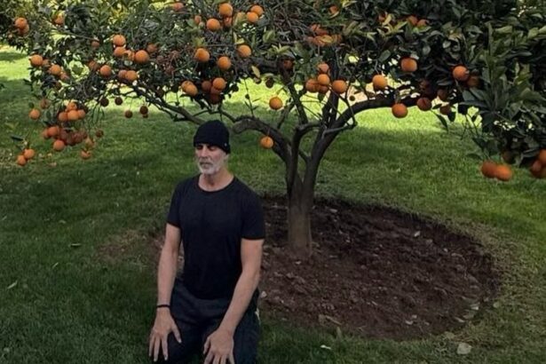 अक्षय कुमार संतरे के पेड़ के नीचे ध्यान करते हुए, 2026 में धैर्य और विकास का संदेश देते हुए