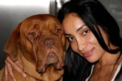 Bigg Boss 7 फेम Sofia Hayat ने Patiala Pitbull Attack के बाद Pitbull Ban का विरोध किया