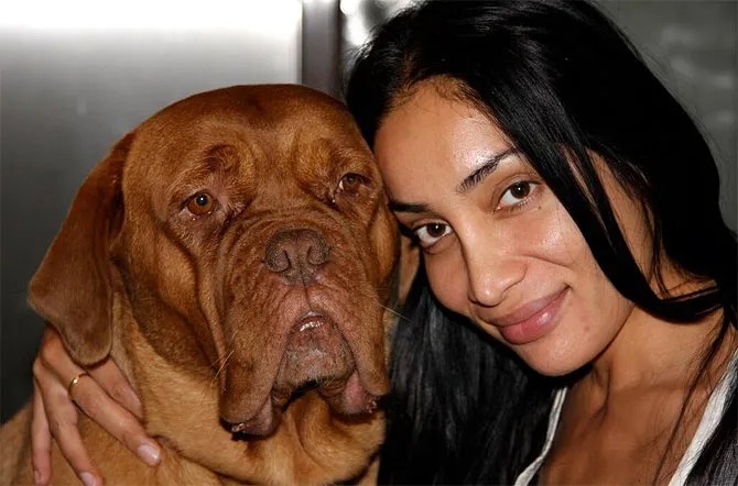 Bigg Boss 7 फेम Sofia Hayat ने Patiala Pitbull Attack के बाद Pitbull Ban का विरोध किया