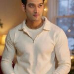 Mann Sundar actor Ankur Bharddwaj Nakul Maheshwari के role पर बात करते हुए