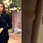 Shweta Tiwari tagging FDA Commissioner Tukaram Mundhe after finding a cockroach in her Swiggy Instamart order.