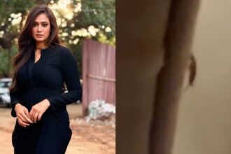 Shweta Tiwari tagging FDA Commissioner Tukaram Mundhe after finding a cockroach in her Swiggy Instamart order.