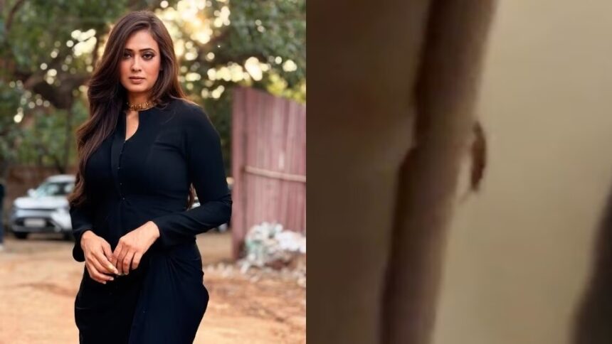 Shweta Tiwari tagging FDA Commissioner Tukaram Mundhe after finding a cockroach in her Swiggy Instamart order.
