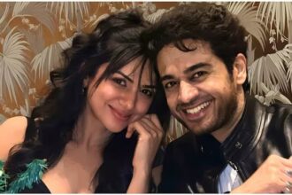 Akanksha Chamola and Gaurav Khanna in a composite photo with Orry over Lock Upp 2 divorce drama