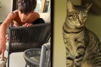 Kiran Rao ने बेटे Azad Rao Khan के साथ अपनी दिवंगत cat Miri को याद करते हुए तस्वीर शेयर की