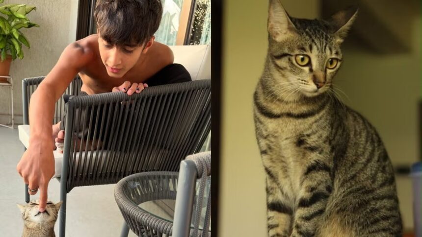 Kiran Rao ने बेटे Azad Rao Khan के साथ अपनी दिवंगत cat Miri को याद करते हुए तस्वीर शेयर की