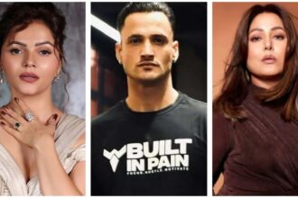 Asim Riaz ने Rubina Dilaik और Hina Khan के कमेंट्स पर प्रतिक्रिया दी