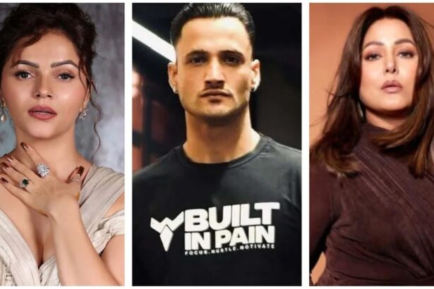 Asim Riaz ने Rubina Dilaik और Hina Khan के कमेंट्स पर प्रतिक्रिया दी