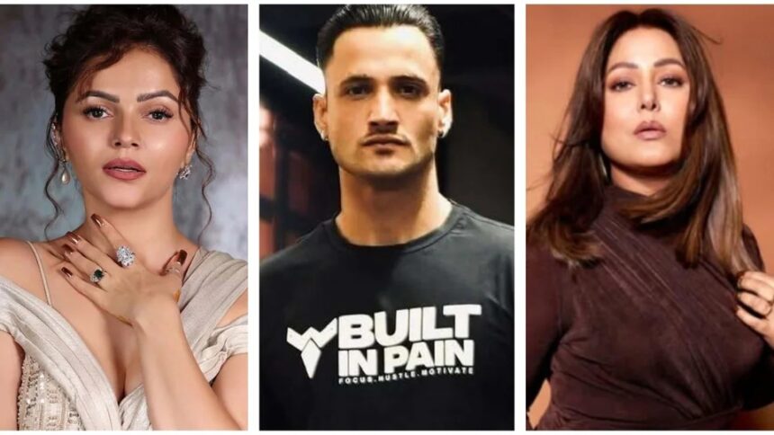 Asim Riaz ने Rubina Dilaik और Hina Khan के कमेंट्स पर प्रतिक्रिया दी