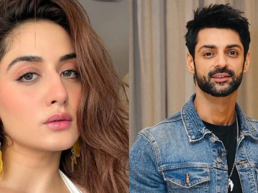 Bigg Boss 20 contestant Uditi Singh and Karan Wahi