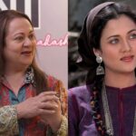 दिग्गज अभिनेत्री मंदाकिनी की तस्वीर